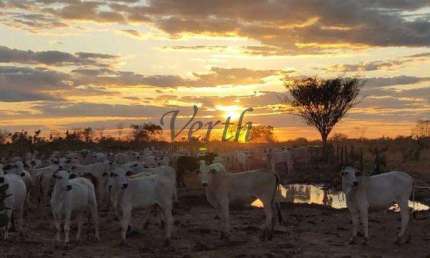 Fazenda à venda na Rural, Sn, Centro, Juatuba, 4020 m2 por R$ 27.000.000