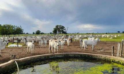 Fazenda à venda na Rural, Sn, Centro, Carinhanha, 7300 m2 por R$ 40.000.000