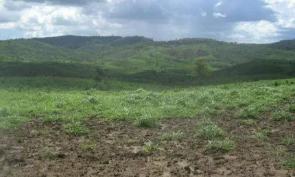 Fazenda à venda na Rio Branco, 3232, Centro, Itapira, 75 m2 por R$ 10.500.000
