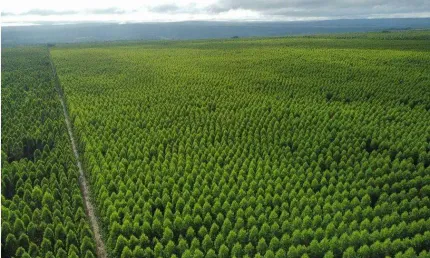 Fazenda à venda no Centro, São João do Paraíso , 14742 m2