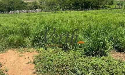 Fazenda à venda na Rui Barbosa, 1000, Centro, Montes Claros, 2000 m2 por R$ 27.000.000