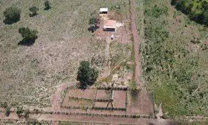 Fazenda à venda na RURAL, 12222, Centro, Nova Xavantina, 600 m2 por R$ 18.000.000