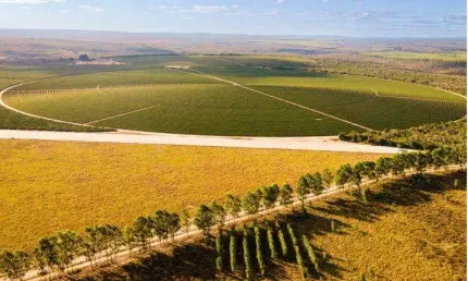 Fazenda à venda na rural, 3434, centro, berizal, 1216 m2 por r$ 75.000.000