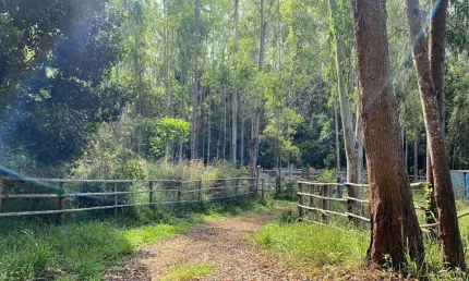 Fazenda à venda na rural, 1212, centro, argirita, 176 m2 por r$ 6.500.000