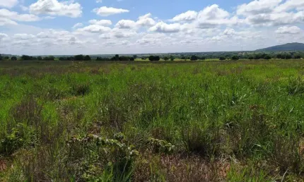 Fazenda à venda na rural, 1212, centro, manga, 4535 m2 por r$ 24.680.000