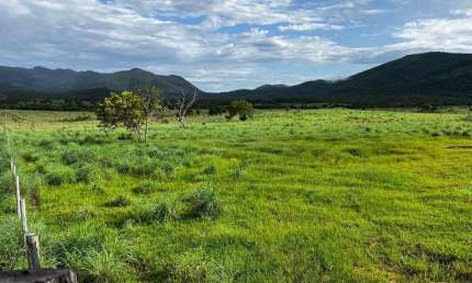 Fazenda à venda na rural, 2324, Centro, Campos Belos, 2725 m2 por R$ 47.000.000
