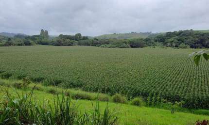 Fazenda à venda no Centro, Juiz de Fora , 1008 m2 por R$ 50.000.000