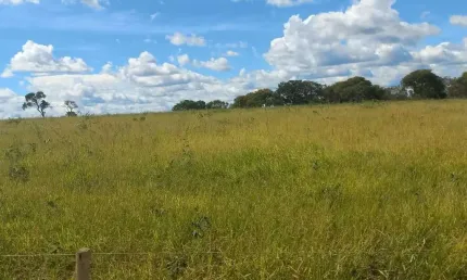 Fazenda à venda na Rural, 1232, Centro, Pintópolis, 3500 m2 por R$ 35.000.000