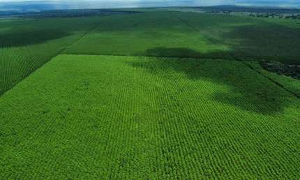 Fazenda à venda na Rural, 1000, Centro, Jacupiranga, 1000 m2 por R$ 55.000.000
