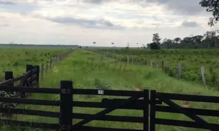 Fazenda à venda na Rural, 1000, Centro, Marcelândia, 10312 m2