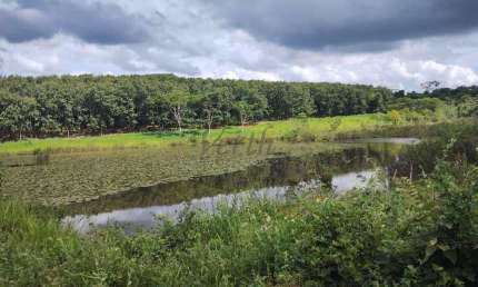 Fazenda à venda na Rural, 1000, Centro, São Paulo, 90 m2 por R$ 20.000.000