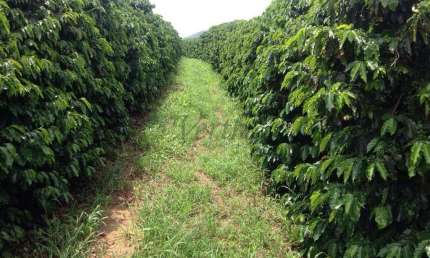 Fazenda à venda no Centro, São Joaquim da Barra , 1016 m2