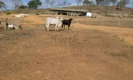 Fazenda à venda no Centro, Belo Horizonte , 408 m2 por R$ 12.000.000