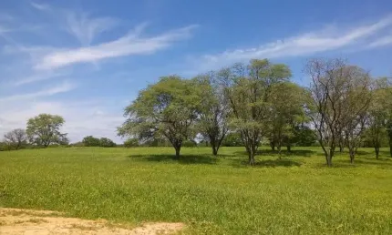 Fazenda à venda na Teixeira de Freitas, 100, Centro, Teixeira de Freitas, 6000 m2 por R$ 21.000.000