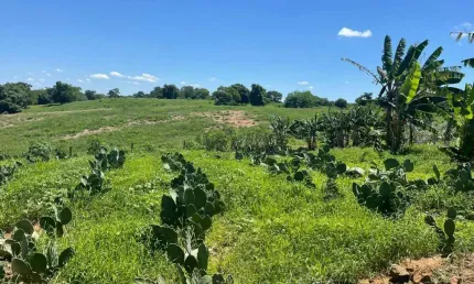 Fazenda à venda na Avenida Anchieta, 827, Centro, Campinas, 2000 m2 por R$ 25.000.000