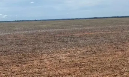 Fazenda à venda na Rural, 100, Centro, Jangada, 2396 m2 por R$ 90.000.000