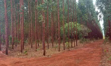 Fazenda à venda na Rural, 1000, Centro, Lassance, 1700 m2 por R$ 55.000.000