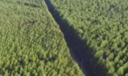Fazenda à venda na Dom Pedro II, 1000, Centro, Curvelo, 38000 m2