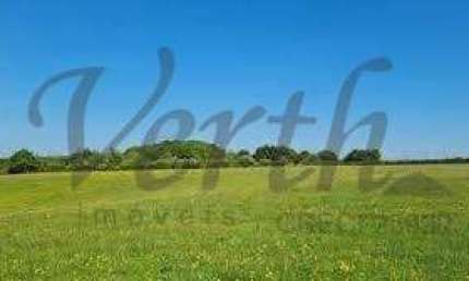 Fazenda à venda na Rural, 1000, Centro, Feira da Mata por R$ 55.000.000
