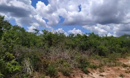 Fazenda à venda na rural, 1000, centro, cocos, 6900 m2 por r$ 21.000.000