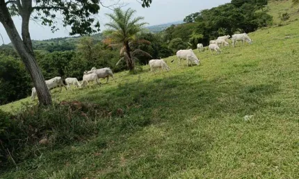 Fazenda à venda no Centro, Monte Santo de Minas , 160 m2 por R$ 1.100.000