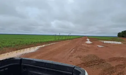 Fazenda à venda na Avenida Tancredo Neves 1200, 1000, Centro, Nova Ubiratã, 2500 m2