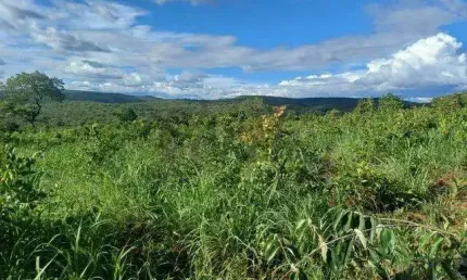 Fazenda à venda na Avenida Guilhermino Ferreira, s/n, 1000, Centro, Salinas, 376 m2 por R$ 10.500.000