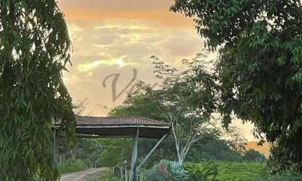 Fazenda à venda na Rua Inês Soares 80, 1000, Centro, Pacajá, 800 m2 por R$ 55.000.000