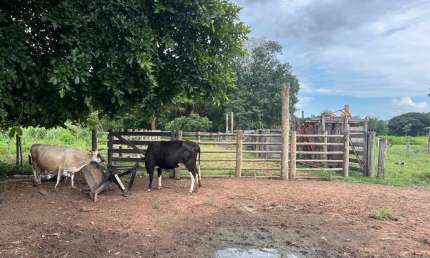 Fazenda à venda na Rua Barão do Rio Branco 110, 1000, Centro, Rio Verde de Mato Grosso, 50 m2 por R$ 5.000.000
