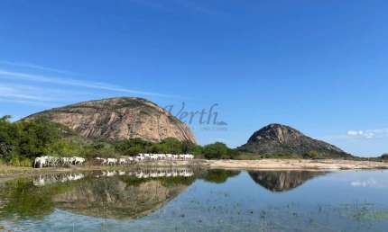 Fazenda à venda na Rua Rui Barbosa 294, 294, Centro, Iaçu, 2250 m2 por R$ 30.000.000