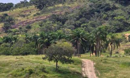 Fazenda à venda na Avenida João Júlio de Faria, Centro, Boa Esperança, 71 m2 por R$ 6.000.000