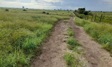Fazenda à venda na RURAL, 100, Centro, Carinhanha, 6882 m2 por R$ 30.000.000