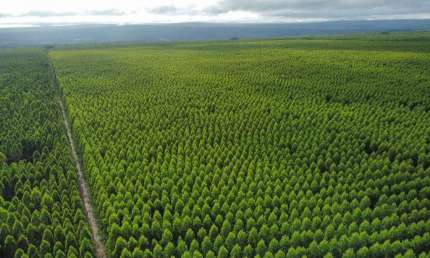 Fazenda à venda na Avenida Afonso Pena, 1000, Centro, Campo Grande, 1000 m2