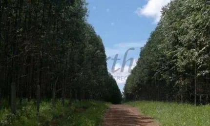 Fazenda à venda na Avenida Oliveira Cesar 106, 1000, Centro, Itapirapuã Paulista, 242 m2 por R$ 10.000.000