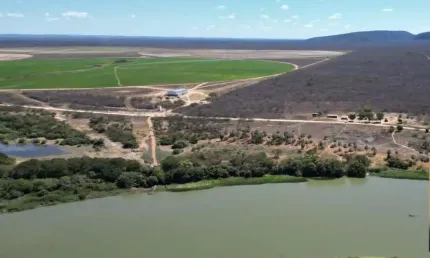 Fazenda à venda na av. 23 de agosto, 1500, Centro, Barra, 496 m2 por R$ 4.250.000
