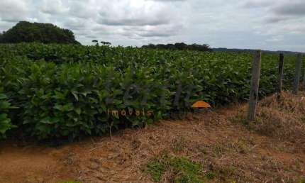 Fazenda à venda na Rural, sn, Cidade Alta, Alta Floresta, 585 m2 por R$ 60.000.000