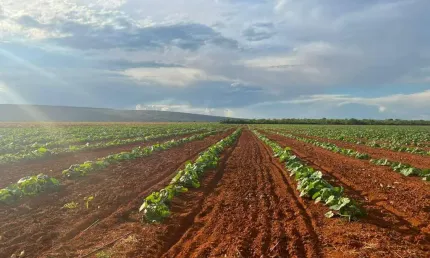 Fazenda à venda na A, 00, Fátima, Sete Lagoas, 2580 m2