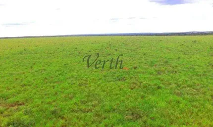 Fazenda à venda na Rural, 2222, Setor Central, Guaraí, 730 m2 por R$ 15.000.000