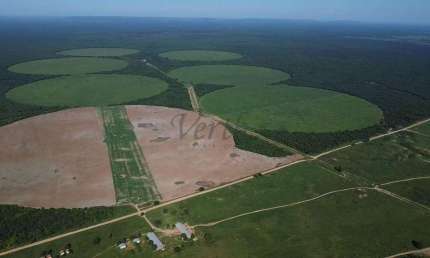 Fazenda à venda na das Cajás, 100, Jardim Imperial, Luís Eduardo Magalhães, 5600 m2