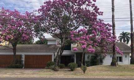 Casa em condomínio fechado com 5 quartos à venda na Rodovia Governador Doutor Adhemar Pereira De Barros Km, 101, Loteamento Alphaville Campinas, Campinas, 1330 m2 por R$ 4.500.000