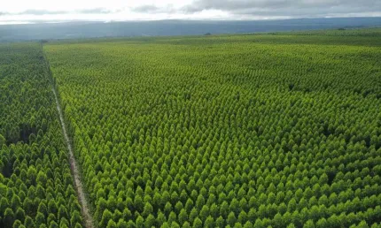 Fazenda à venda na Lagoa dos Patos, 1000, Loteamento Vila Rica, Gravataí, 34000 m2