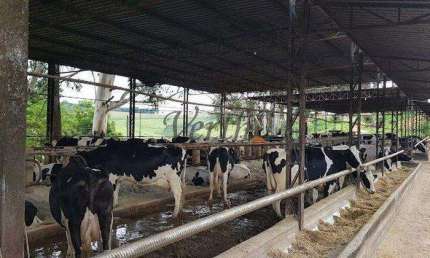 Fazenda à venda na Unaí, 1000, Mamoeiro, Unaí, 617 m2 por R$ 70.000.000