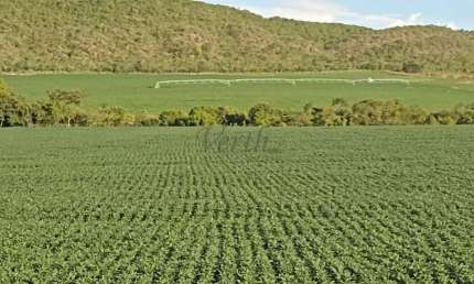 Fazenda à venda na Unaí, 5000, Mamoeiro, Unaí, 355 m2 por R$ 16.000.000