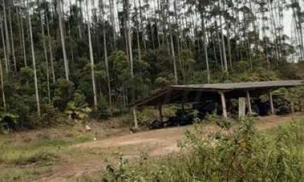 Fazenda à venda na Expedicionários de Itapeva, 1000, Parque Cimentolândia, Itapeva, 242 m2 por R$ 16.250.000