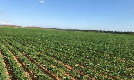 Fazenda à venda na ACSU NO 10 Avenida Joaquim Teotônio Segurado, 1, Plano Diretor Norte, Palmas, 2115 m2 por R$ 44.000.000