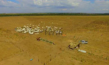 Fazenda à venda na Rural, 1232, Setor Central, Guaraí, 305 m2 por R$ 8.500.000