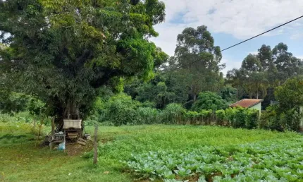 Terreno comercial à venda no Sousas, Campinas  por R$ 4.285.700