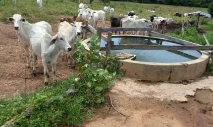 Fazenda à venda na Manoel Athaide, Sn, São Gonçalo, Janaúba, 431 m2 por R$ 4.000.000