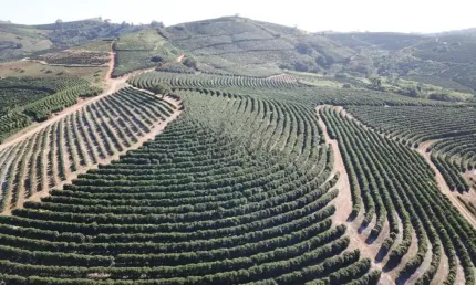 Fazenda à venda na Praça Coronel Gustavo Ribeiro, 63, 1000, Centro, Caconde, 406 m2 por R$ 45.000.000