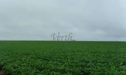 Fazenda à venda na Virgílio Justiniano Ribeiro, 1000, Centro, Unaí, 742 m2 por R$ 17.000.000